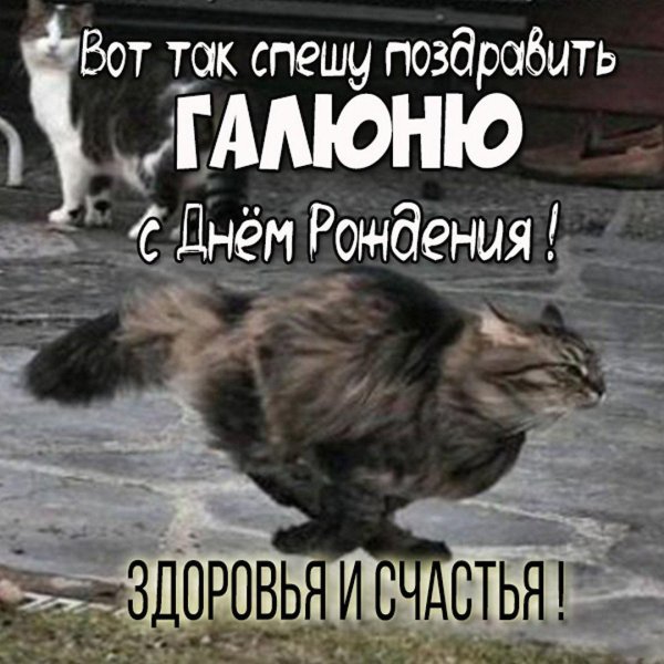 с днем рождения гале