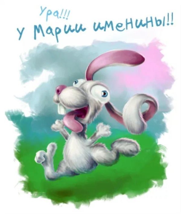 прикольный заяц