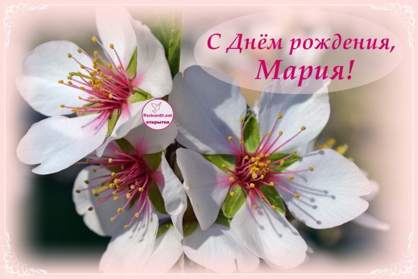 с день рождения маша