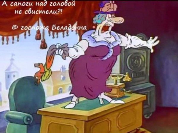 фунтик госпожи белладонны