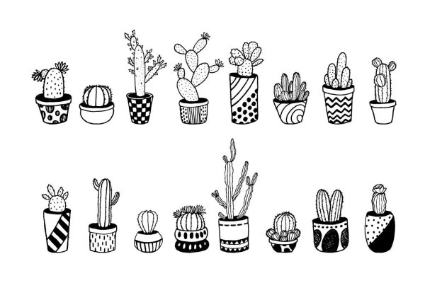 рисунок кактус от руки