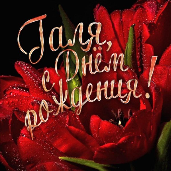 с днем рождения галина