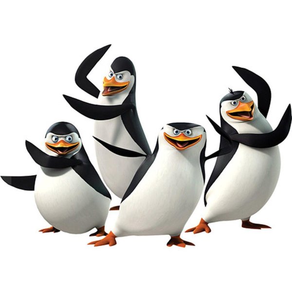 пингвины мадагаскара персонажи