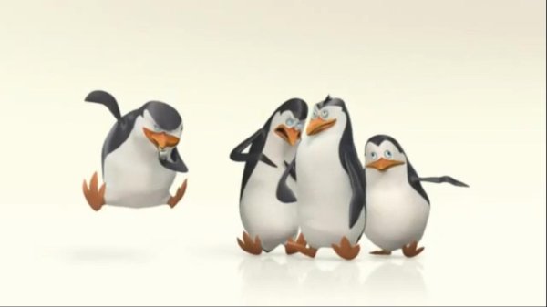 рико пингвины мадагаскара