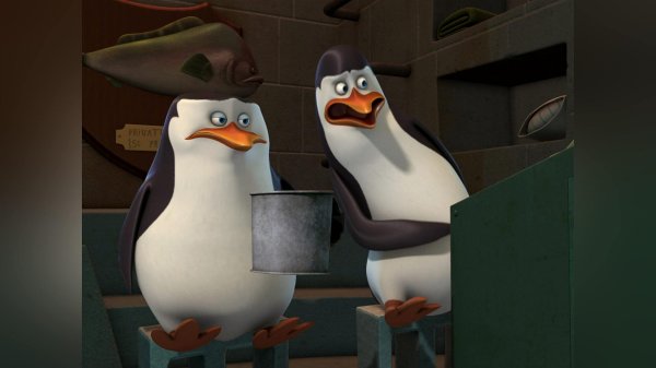 рико пингвины мадагаскара