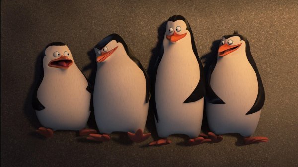 пингвины мадагаскара мультфильм 2014