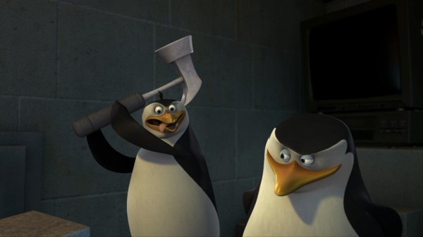 рико пингвины мадагаскара