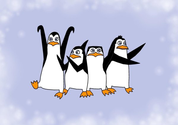 пингвин из мадагаскар