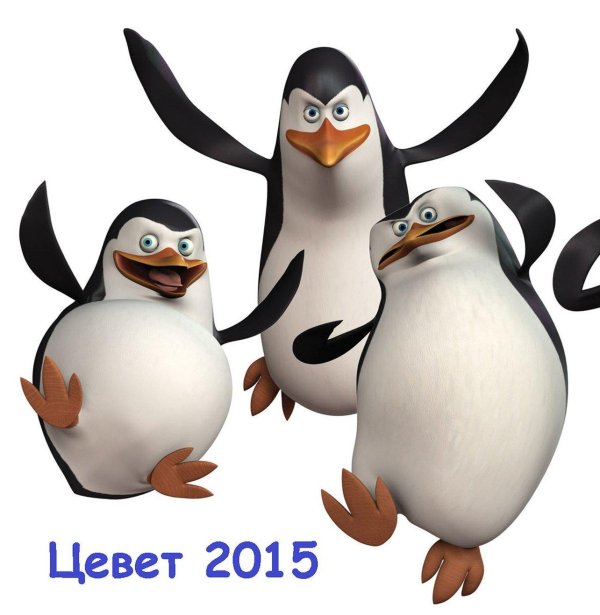 рико пингвины мадагаскара