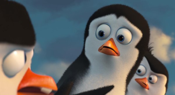 пингвин из мадагаскар