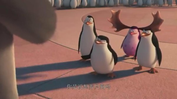 penguins of madagascar пингвины мадагаскара 2014