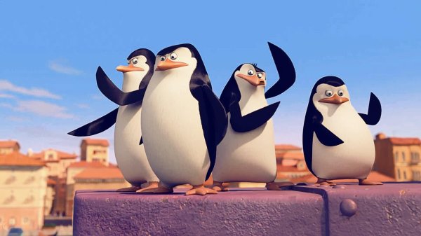 пингвины мадагаскара мультфильм 2014