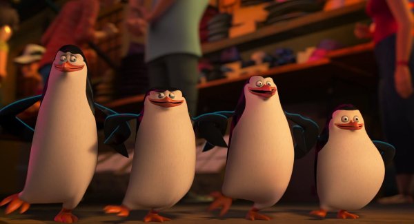 пингвин из мадагаскар