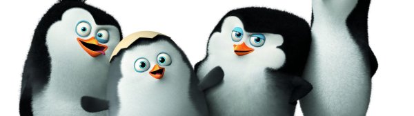 мадагаскар пингвин