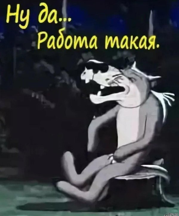 волк шо опять