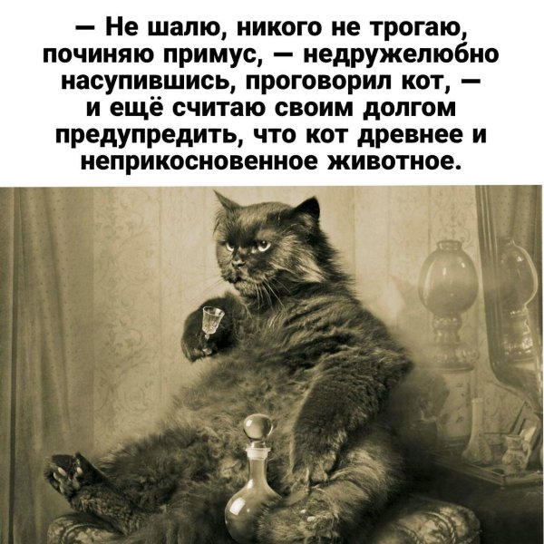 кот бегемот из мастера и маргариты