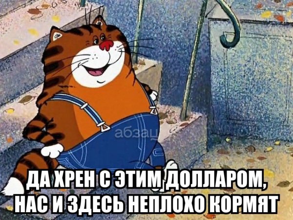кот из мультика про кешу