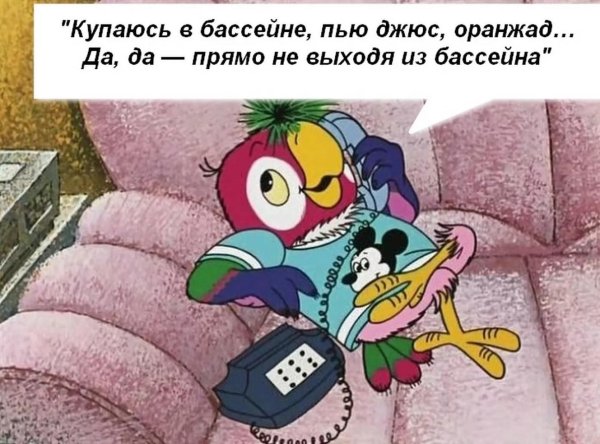 попугай кеша пью джус