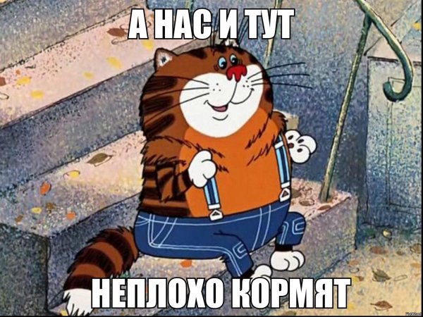 возвращение блудного попугая мультфильм