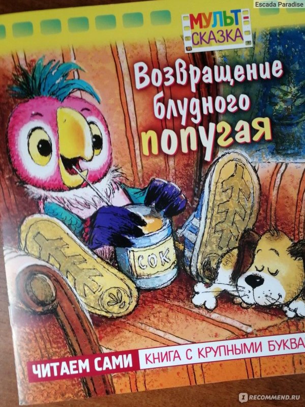 книжка возвращение блудного попугая