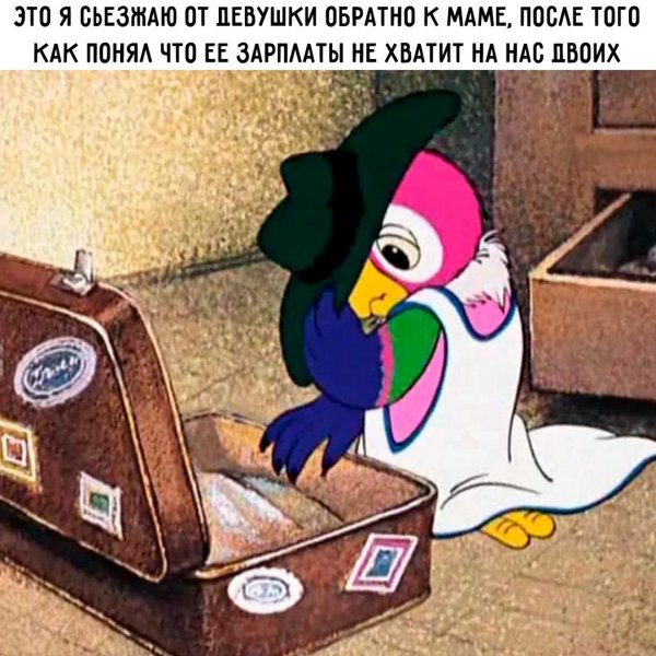 попугай кеша мультик