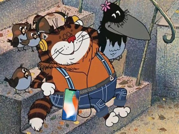 попугай кеша кот василий