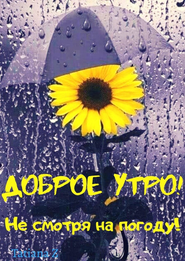 доброго летнего дождливого утра