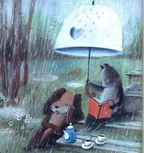 книга дождя