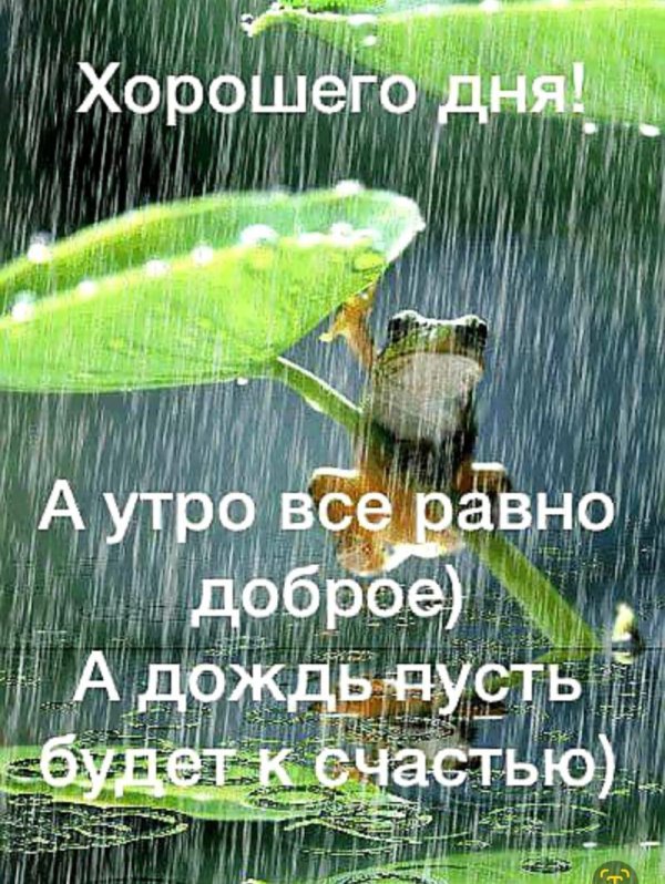 доброго дождливого утра