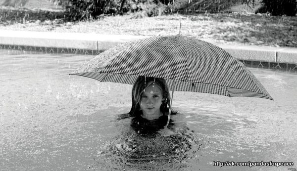 ливень зонт