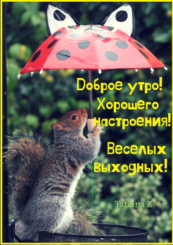 С дождем