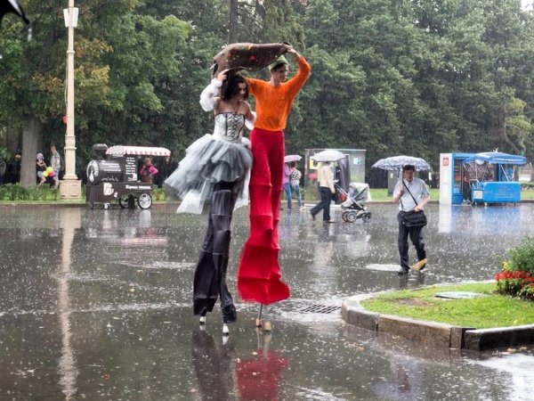 дождь прикольные