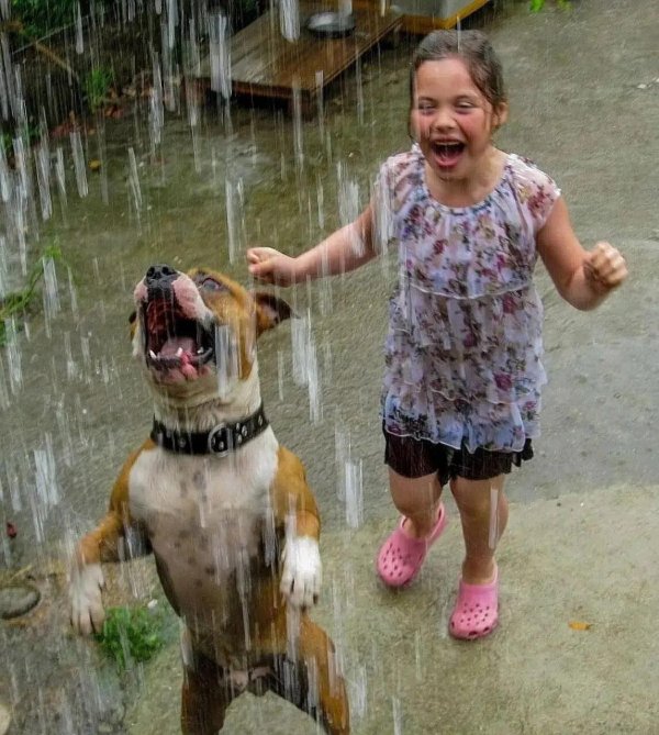 собака радуется