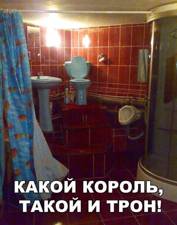 король на унитазе