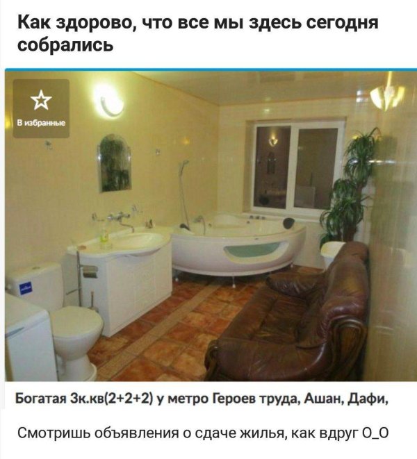 квартира студия юмор