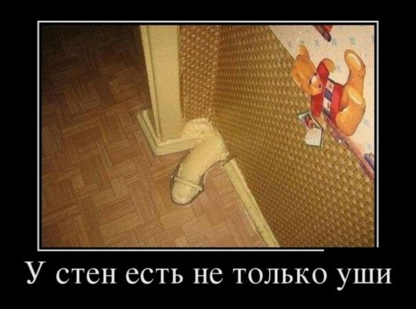 стены слышат