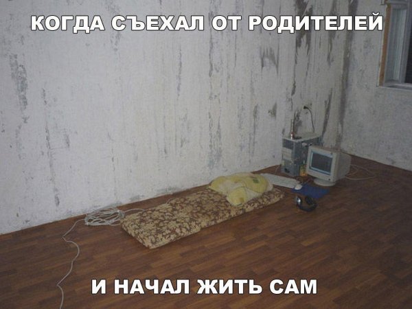 съехал от родителей