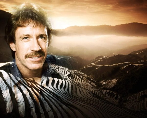 chuck norris
