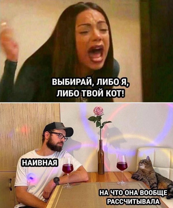 топ мемы