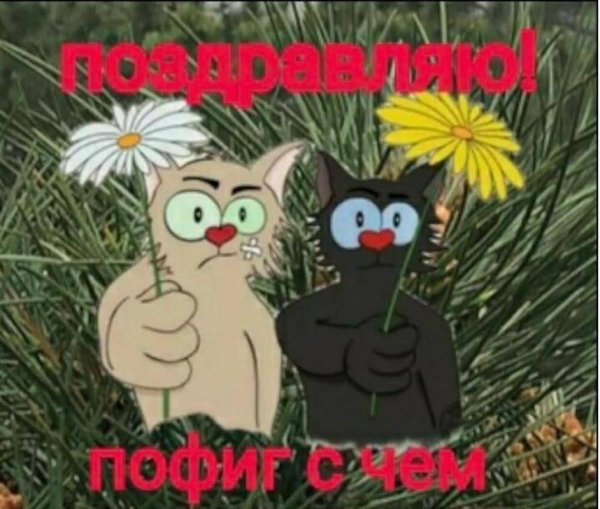 смешные открытки