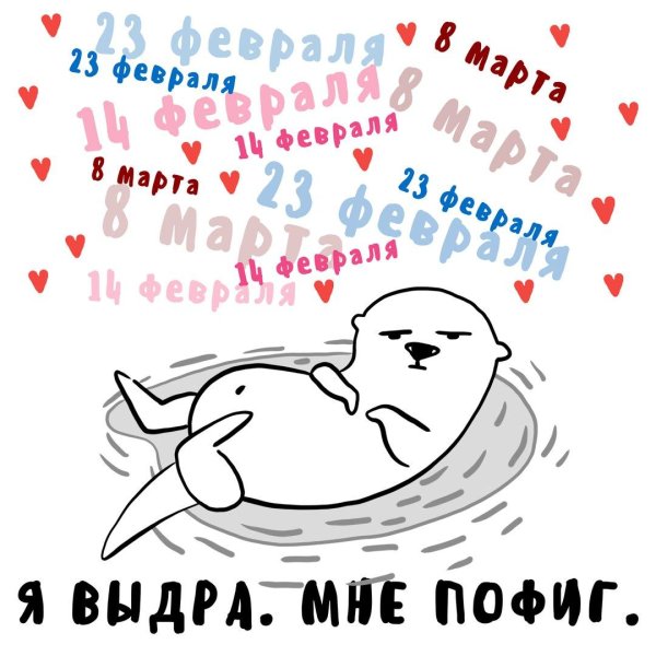 тюлень любви