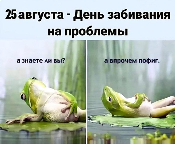 смешная жаба