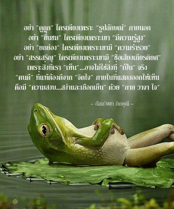 уставшая лягушка