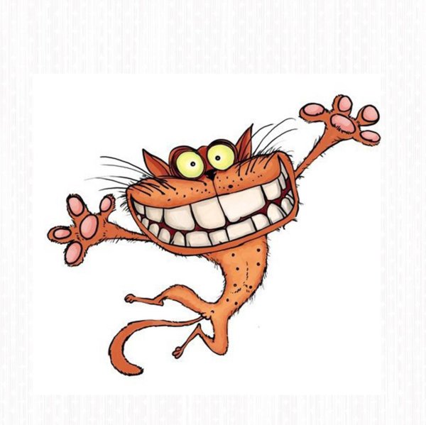 векторный котик