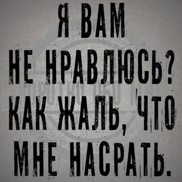 мудрая цитата