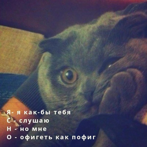 внимательно слушаю