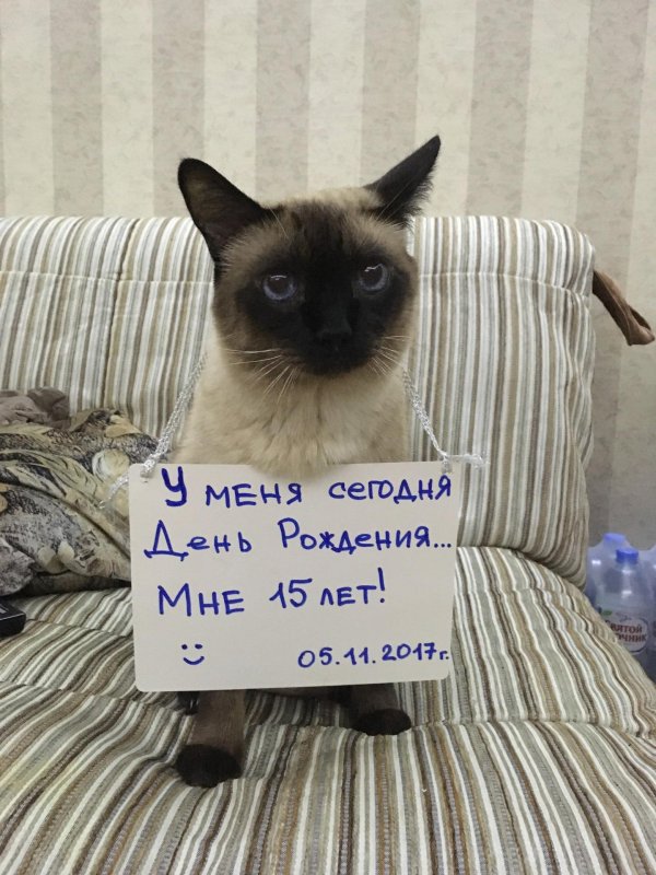 У меня сегодня днюха