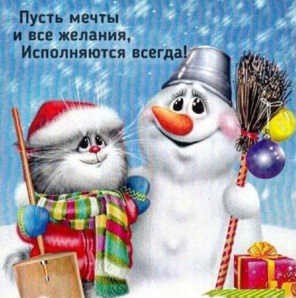 котики алексея долотова