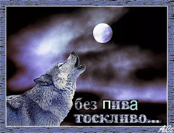 Спокойной ночи с волками
