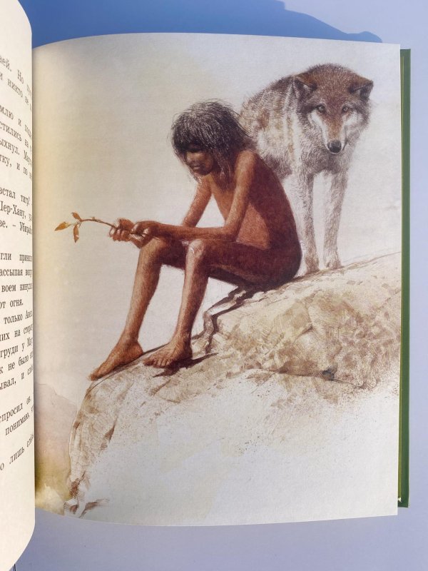 книга джунглей иллюстрации роберта ингпена